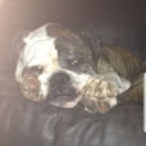 Meet your Posher, Ethan